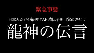 ⚠️緊急事態※「時間はない!!」神の子日本人が持つ遺伝子「YAP遺伝子」のスイッチをONにせよ!覚醒