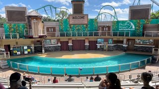 Sea Lion & Otter Spotlight | Sea Lion and Otter theater | SeaWorld Orlando, Florida 2023