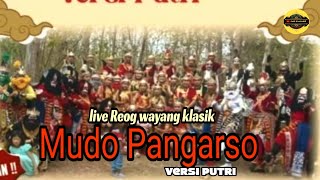 🔴 live Reog wayang klasik Mudo Pangarso versi Putri