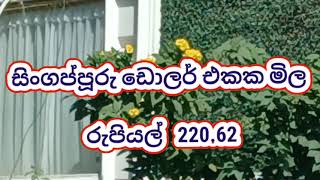 කුවේට් ඩිනාර් එකක මිල |kuwait dinar rate |Exchange Rate |dinar rate