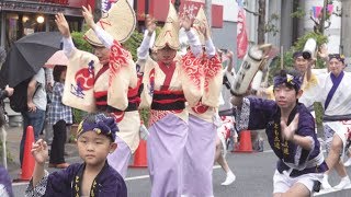 阿波踊り「巴連」2018堀切かつしか菖蒲まつり（2018.6.10）