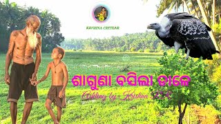 Saguna Basila chale Gadhilani Bela Odia Best Beautfull Video Song Krishna RR