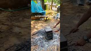 ചെറുതായിട്ടൊന്നു പണി പാളി