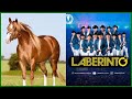 laberinto CORRIDOS DE CABALLOS 2020 DJ Korita