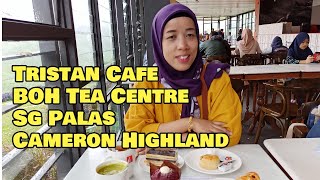 WAJIB KE LADANG TEH BOH SUNGAI PALAS || LAST VIDEO ON CAMERON HIGHLAND TRIP 2020 ||