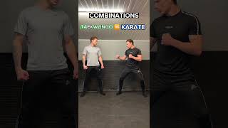 TAEKWONDO vs KARATE | Combinations