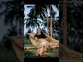 ബീച്ചിൽ കിടന്നു ഉള്ള photoshoot📸 viral trending photography