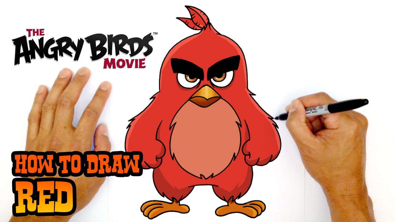 Angry Birds Drawing Step By Step