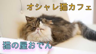 オシャレ過ぎる猫カフェ「猫の屋おでん」さんに行ってきました