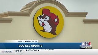 'Beaver fever' builds as signs go up on Mississippi's first Buc-ee's