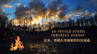 【雜談】原來，寶藏在虔誠旅途的深遠處An Untold Story: Immortal Horses