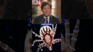 The Tick Conspiracy