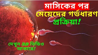 গর্ভধারণের পুরো প্রক্রিয়াটি দেখুন 3D ভিডিও আকারে।দেখুন How to conceive an egg and a sperm