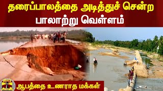 தரைப்பாலத்தை அடித்துச் சென்ற பாலாற்று வெள்ளம்...  ஆபத்தை உணராத மக்கள்