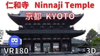 VR180  京都観光 仁和寺 01 Japan KYOTO Ninnaji Temple