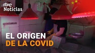 COVID-19: CONFIRMAN el ORIGEN del VIRUS en el MERCADO de WUHAN | RTVE Noticias