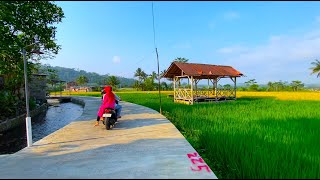 SIAPA YANG TAK BETAH, HIDUP DAMAI DI DESA TENGAH SAWAH, AIR MELIMPAH