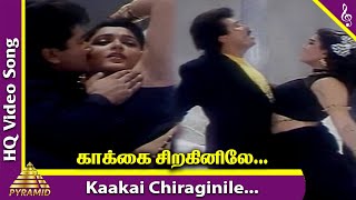 Kaakai Chiraginile Song | Purusha Lakshanam Tamil Movie | Jayaram | Kushboo | Pyramid Music