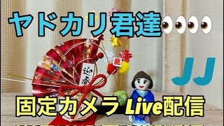 ヤドカリ君達の固定カメラ Live配信2023.12.29