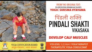 Pindali Shakti Vikasaka, पिंडली शक्ति विकासक, Develop Calf Muscles, YCB Syllabus