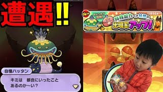 【妖怪ウォッチぷにぷに】自慢ハッタンパス出現率アップ！出るまで回したら神回だった⁈極妖魔界トーナメント〜武道会ガシャ〜前半戦 Yo-kai Watch