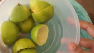 Ne jetez plus les zestes de citron ! Je l'ai mis dans le mélangeur et j'ai été surpris du résultat