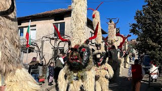 Сурва 2023 Брежани - Махала Горна Kukeri ,Bulgaria