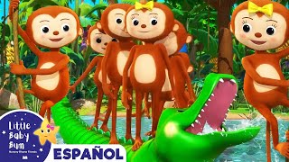 Cinco Monitos y la Cocodrilo - Canciones Infantiles | Dibujos Animados | Little Baby Bum en Español
