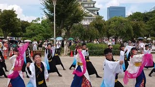 環温＊こいや祭り2017＊大阪城天守閣会場(左)