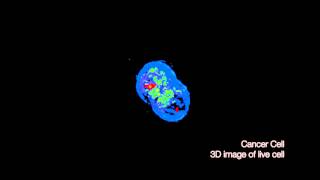 3D Imaging of Live Cells