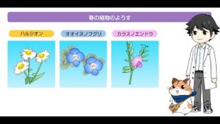 【４年理科】春の植物のようす