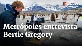 Bertie Gregory, do National Geographic, explica segurança para filmar predadores na natureza