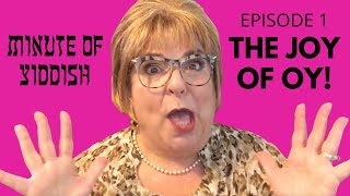 THE JOY OF OY! – MINUTE OF YIDDISH EPISODE 1 – COOKIE KIBBITZNIK – JEWISH HUMOR –THE REAL MRS MAISEL