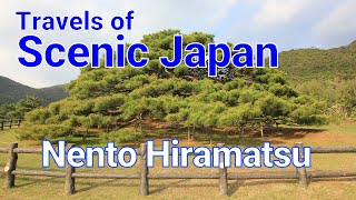 095 Nento Hiramatsu in Okinawa Prefecture / Travels of Scenic Japan / Tabiator