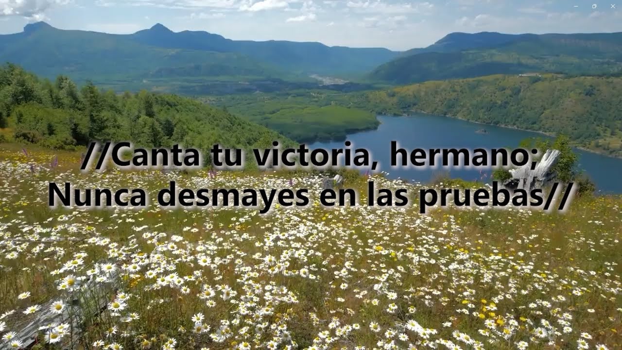 Canta Tu Victoria Hermano Video Con Letras Cánticos Congregacionales
