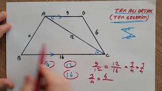 BENZERLİK-2(TAKTİKLERLE )