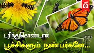 புரிந்துக்கொண்டால் பூச்சிகளும் நண்பர்களே | பகுதி - 3 | வனத்துக்குள் திருப்பூர் | வெற்றி