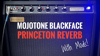 Mojotone Blackface Princeton Reverb with Easy Mods! - Pictures and Tone Demo