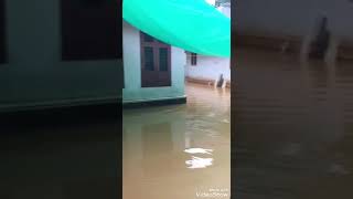 2019 ലെ വെള്ളപ്പൊക്കം