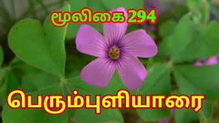 பெரும்புளியாரை கீரை|Oxalis Articulata|pink sorrel|oxalis debilis|அலசல்|Alasal