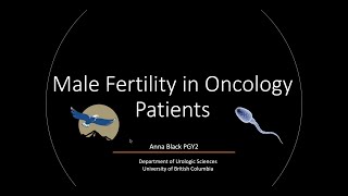 Male Fertility in Oncology Patients