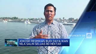 Jokowi Janji Bisikkan Prabowo Atur APBN 2025 Untuk Tambak Nila Rp13 T