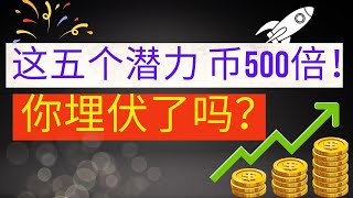 揭秘2024年最炙手可热的5种加密货币，预计涨幅高达500倍！币圈新手如何从3000美元赚到百万！