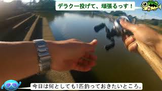 【カヨイボーズ】駕与丁公園 バス釣り 20230924