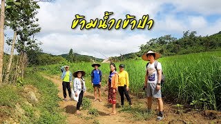 หลงฝนลาวเหนือ EP.22 ข้ามน้ำเดินเข้าป่าหลายกิโลไม่มีไฟฟ้าสัมผัสภูเขาท้องทุ่งนาลูกทุ่ง