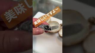 貴重！秋の味覚　アケビ　 #shorts