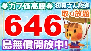 【あつ森】初見さん歓迎です　「646ベル」「流星群」「新レシピ」の島開放中！【カブ価】【あつ森 参加型】