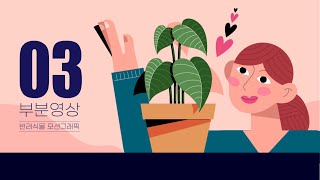 3️⃣ [반려식물이란?] - 키우는 이유\u0026키우기 전 체크