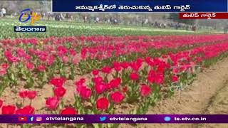 Kashmir’s Tulip Garden Opens to Public | జమ్ముకశ్మీర్‌లో తెరుచుకున్న తులిప్  గార్డెన్