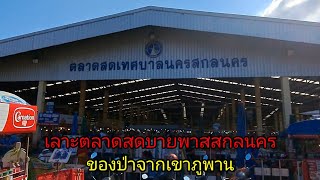 พาเลาะตลาดสดบายพาส สกลนคร | ของป่าจากภูพาน | อึ่งหลายคัก